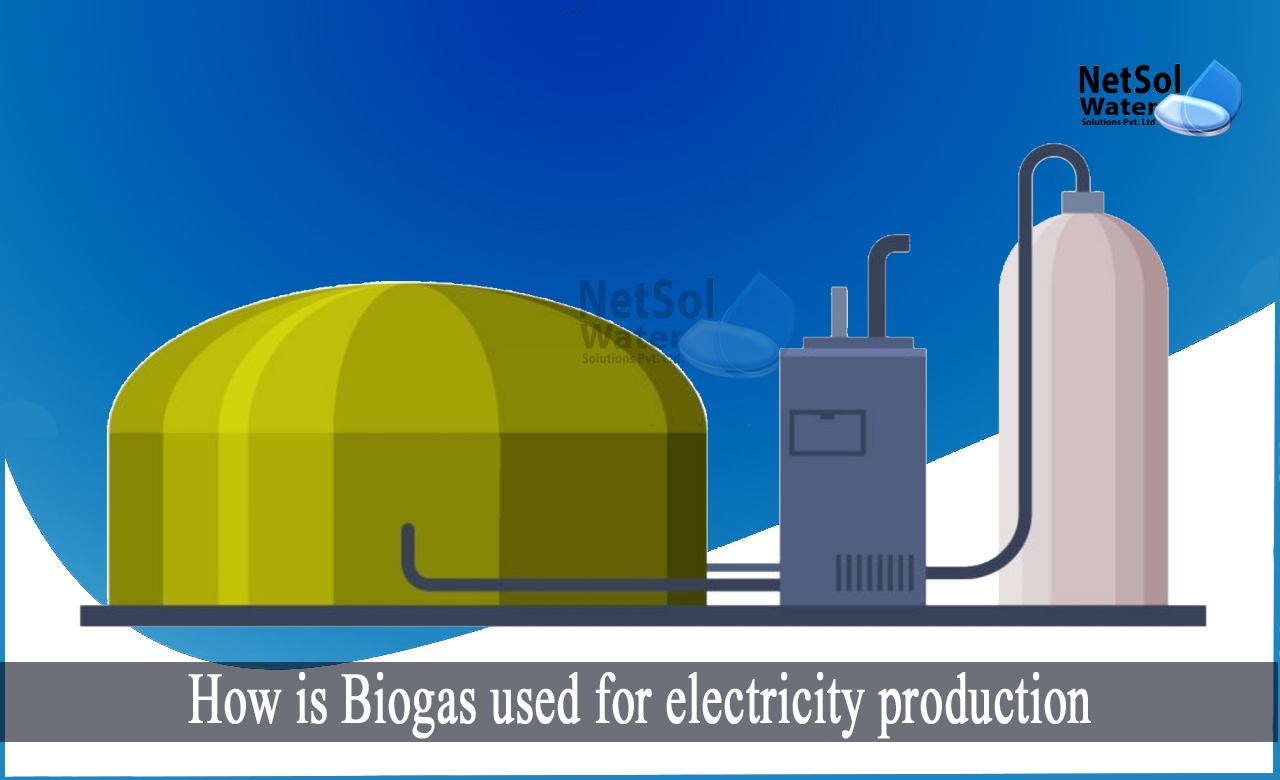 biogas to electricity generator, how does a biogas generator work, how is biogas produced