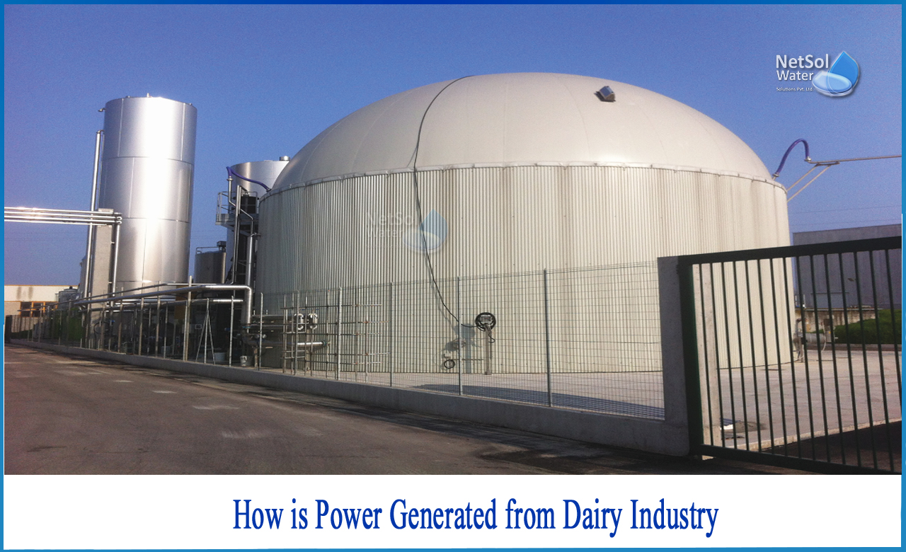 milk dairy, milk production in india, what is dairy farming, How is Power generated from Dairy Industry