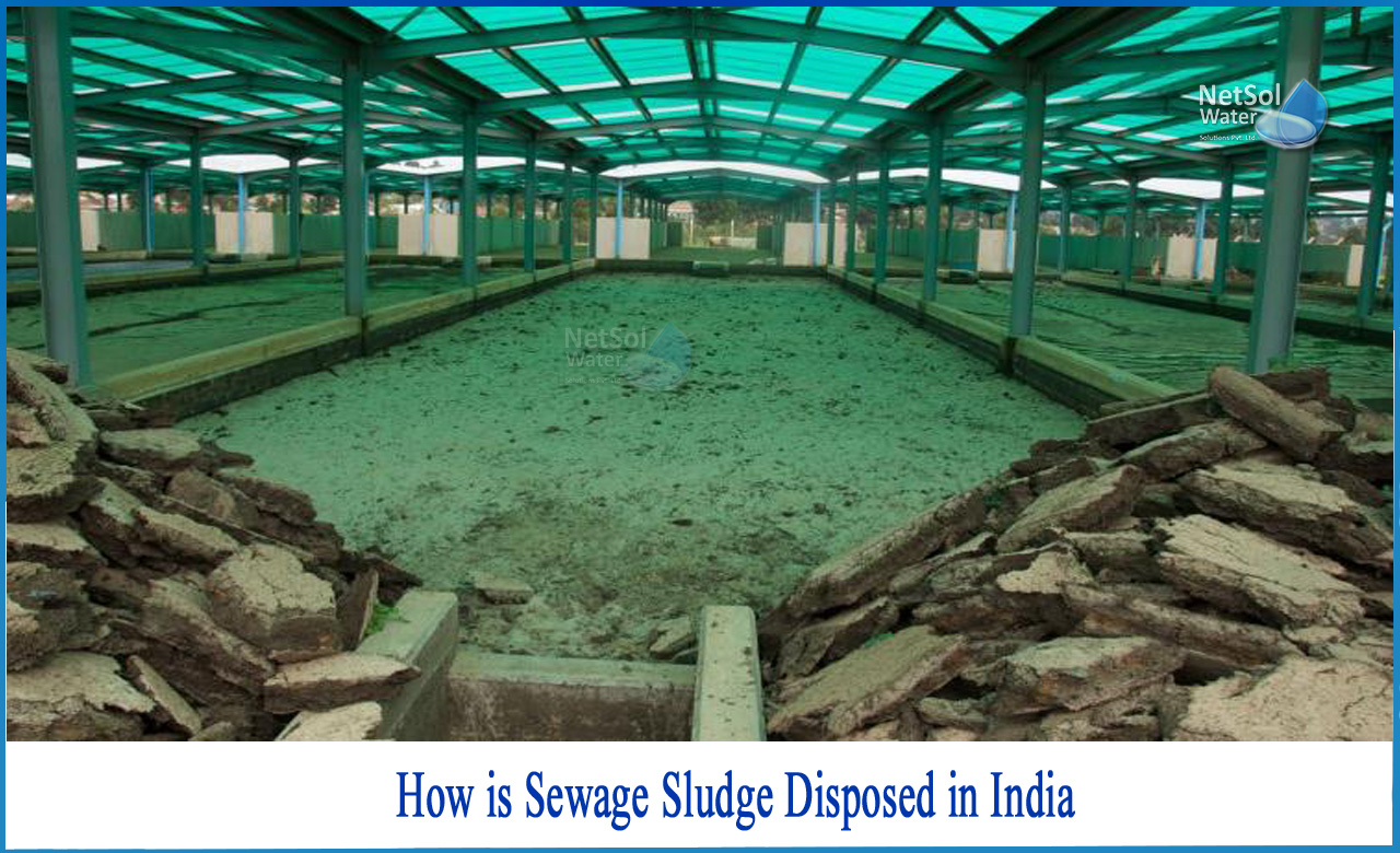 sludge disposal methods, what is sludge in wastewater treatment, sewage sludge generation in india