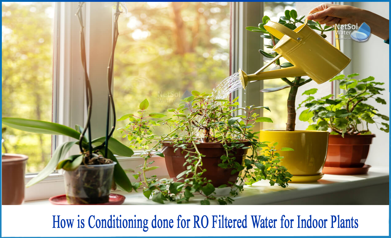 how to use ac water for plants, what to add to ro water for plants, how to remove salt from softened water for plants