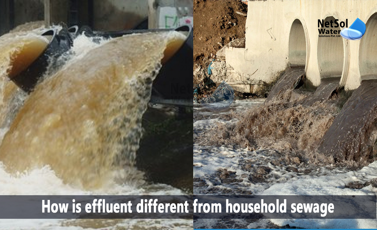 distinguish between sewage and effluents, difference between stp and etp, difference between domestic and industrial wastewater