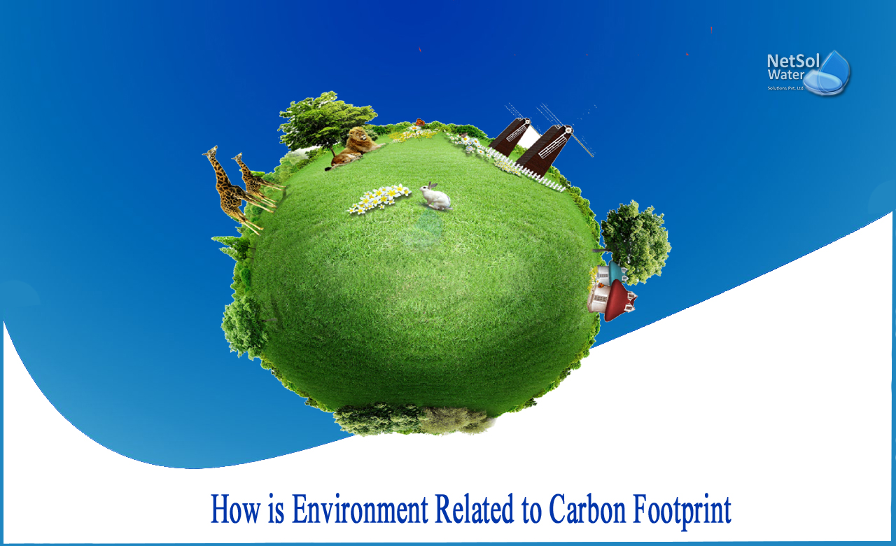 what is a carbon footprint, causes of carbon footprint, how can we reduce carbon footprint, importance of carbon footprint