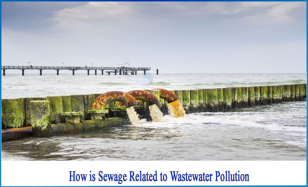 what is sewage pollution, how does sewage cause water pollution, effects of sewage pollution on the environment