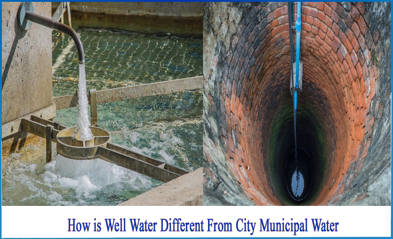 well water vs city water for skin, well water vs city water pros and cons, well water vs city water for plants