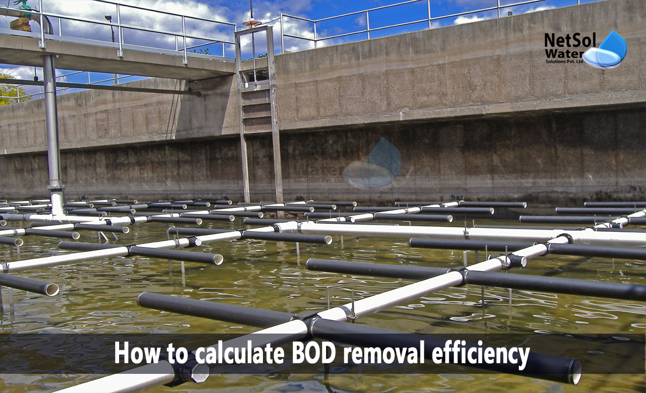 bod removal efficiency during primary treatment, bod removal efficiency of trickling filter, bod removal efficiency activated sludge