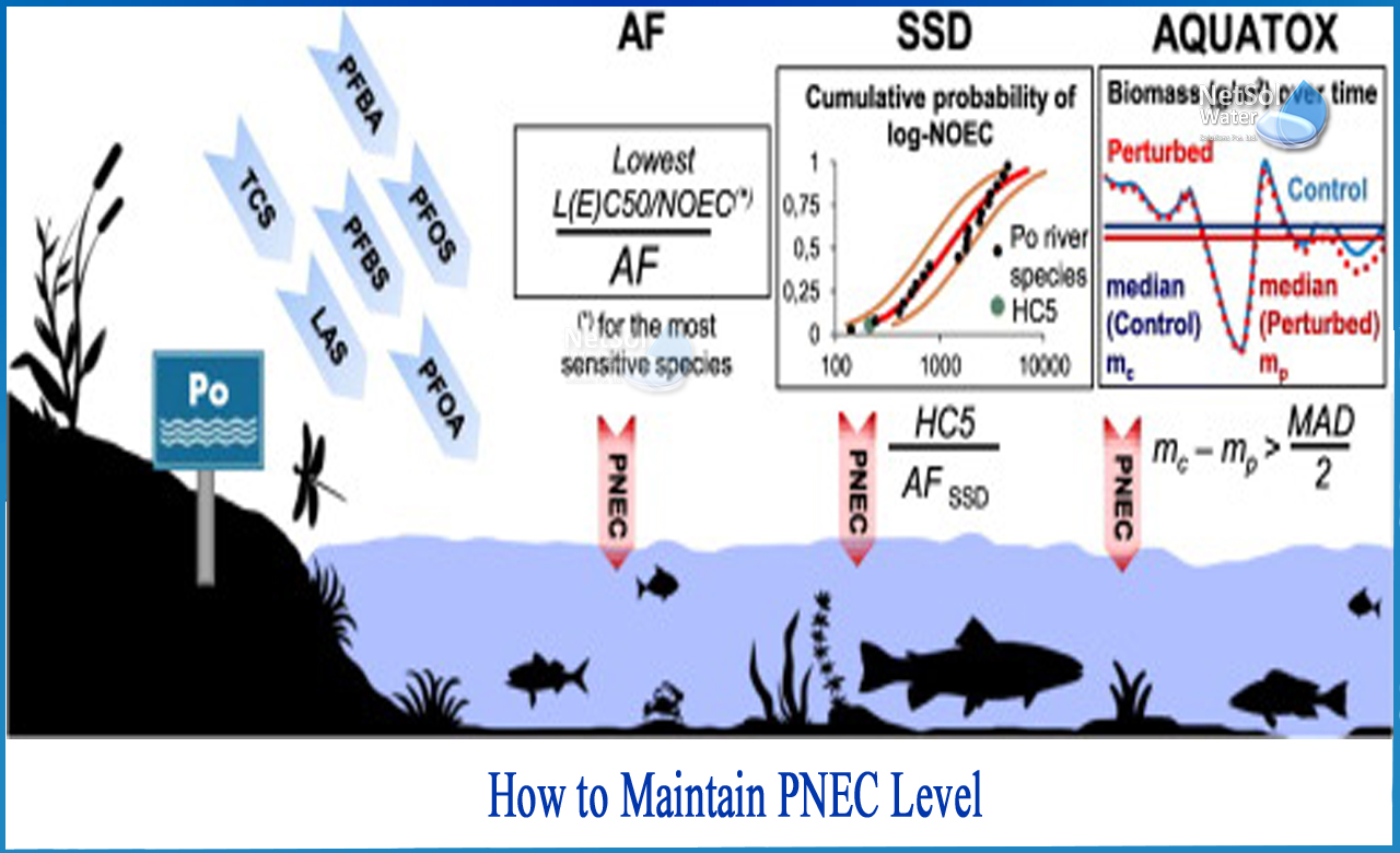 how to calculate pnec, how to calculate predicted environmental concentration, predicted no effect concentration