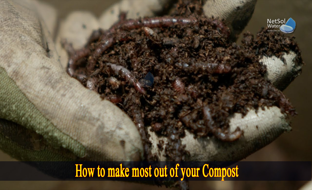composting tips for beginners, how to use a compost bin, composting bin tips