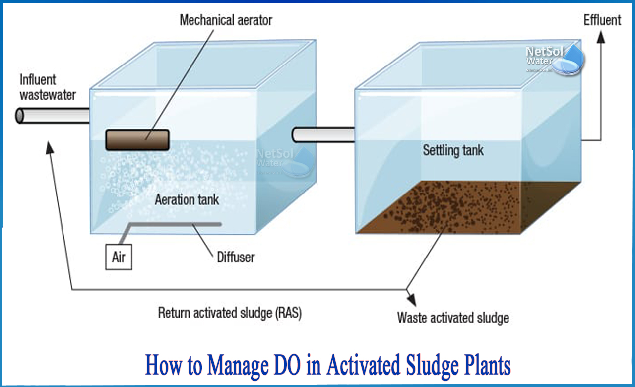 activated sludge process steps, which of these is not an alternative to activated sludge treatment systems, types of activated sludge process