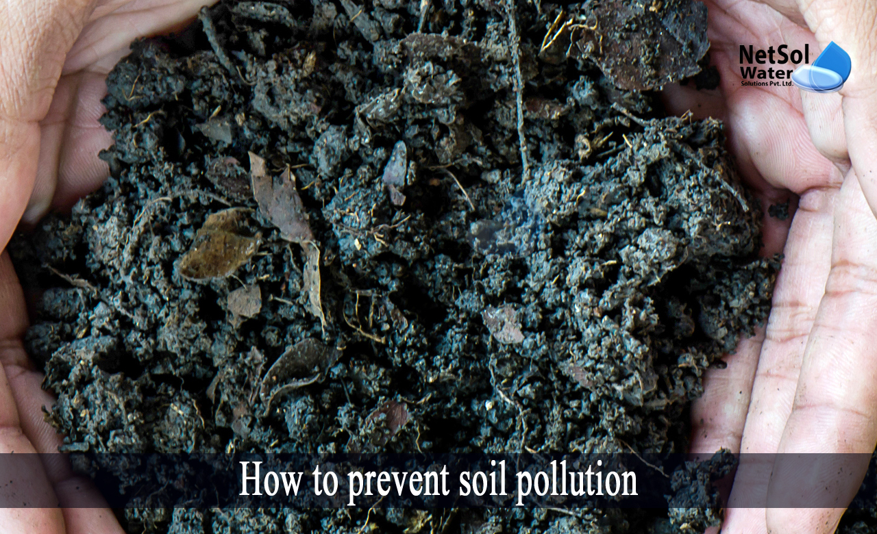 What Is Soil Pollution Class 10 Printable Templates Protal