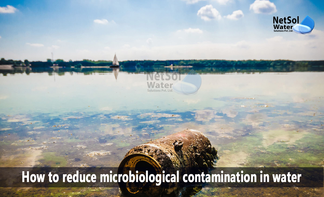 microbial contamination of water, types of microbial contamination, sources of microbial contamination