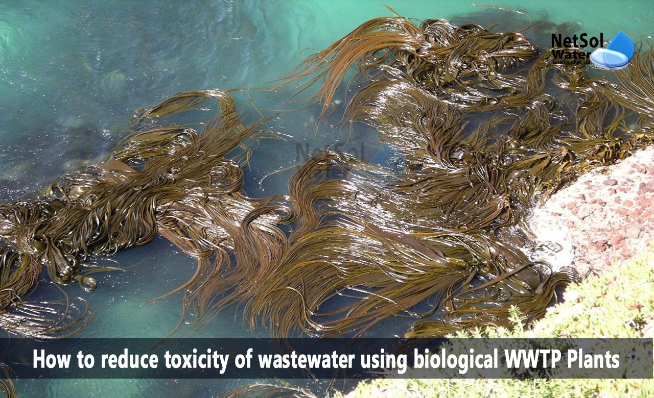 biological treatment of wastewater, biological wastewater treatment methods, biological treatment methods
