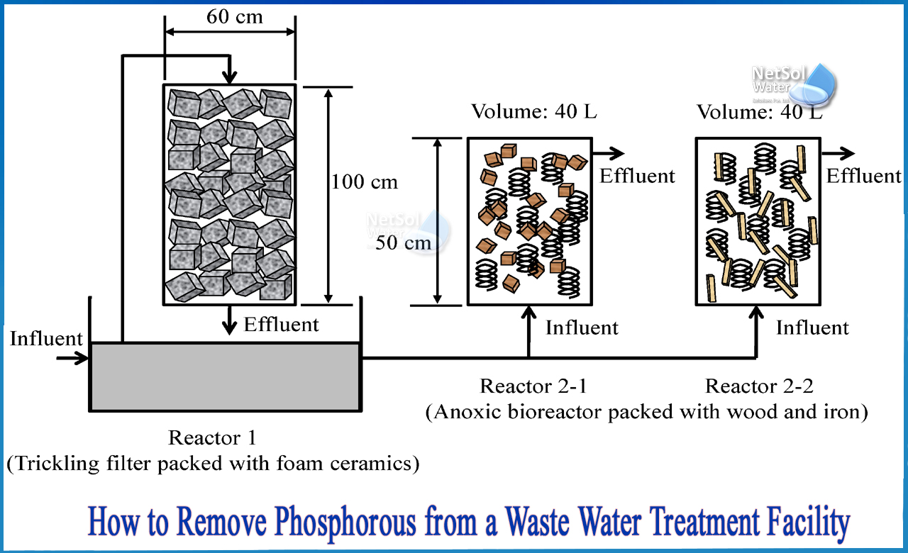 removal of nitrogen and phosphorus from wastewater, biological removal of phosphorus from wastewater, how to remove phosphorus from water
