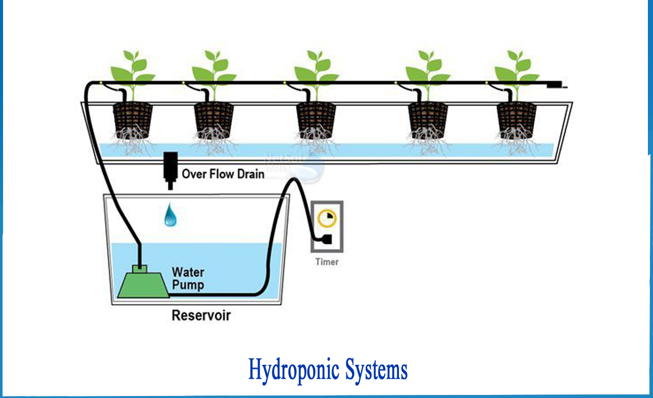 types of hydroponic systems, hydroponics how it works, hydroponic system