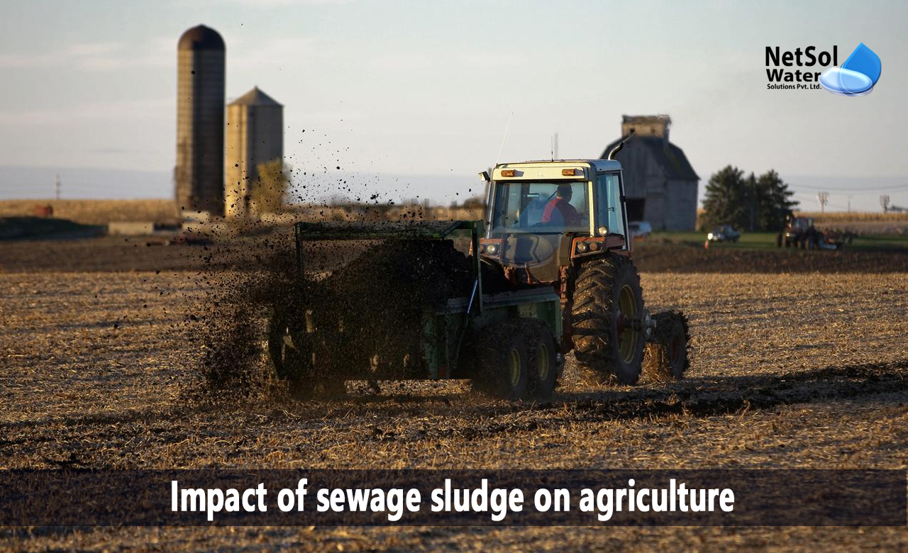 what is sewage sludge, sewage sludge fertilizer, sewage sludge treatment