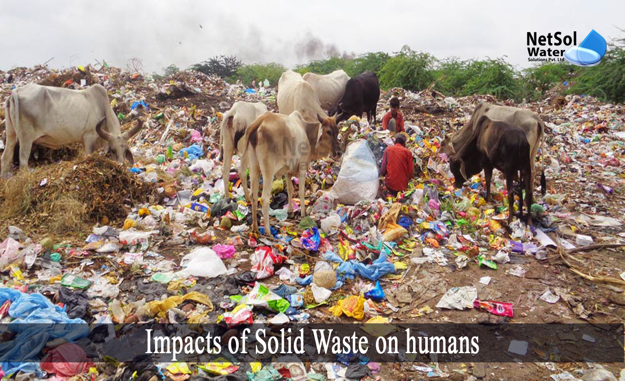 effects of solid waste, impact of solid waste on human health and environment, effects of solid waste management