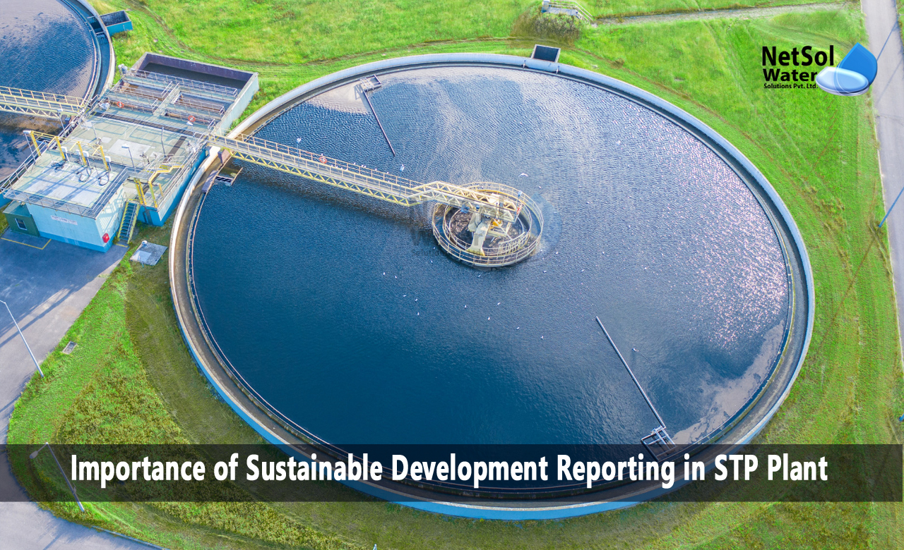 Importance of Sustainable Development Reporting in STP