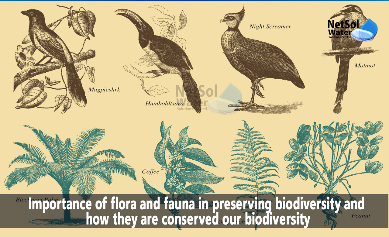 The significance and importance of Biodiversity, Which dangers pose the greatest risk to biodiversity