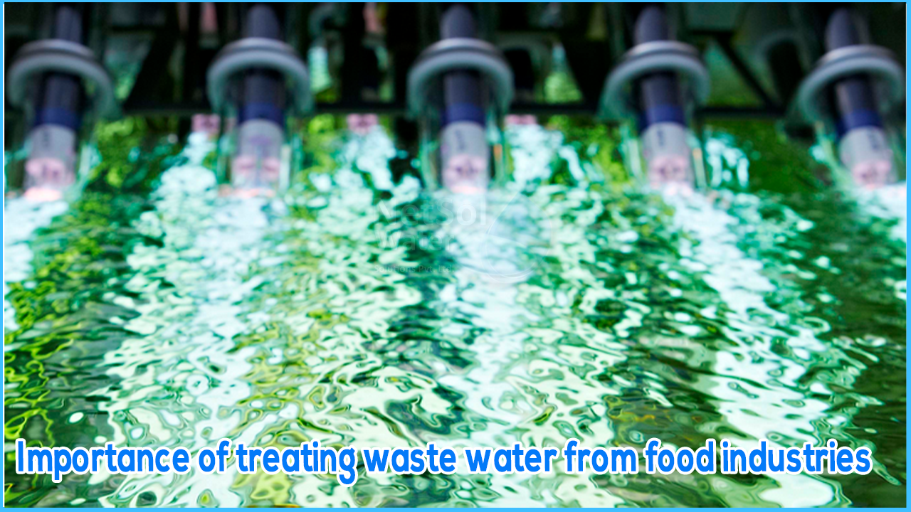 Importance of treating waste water from food industries