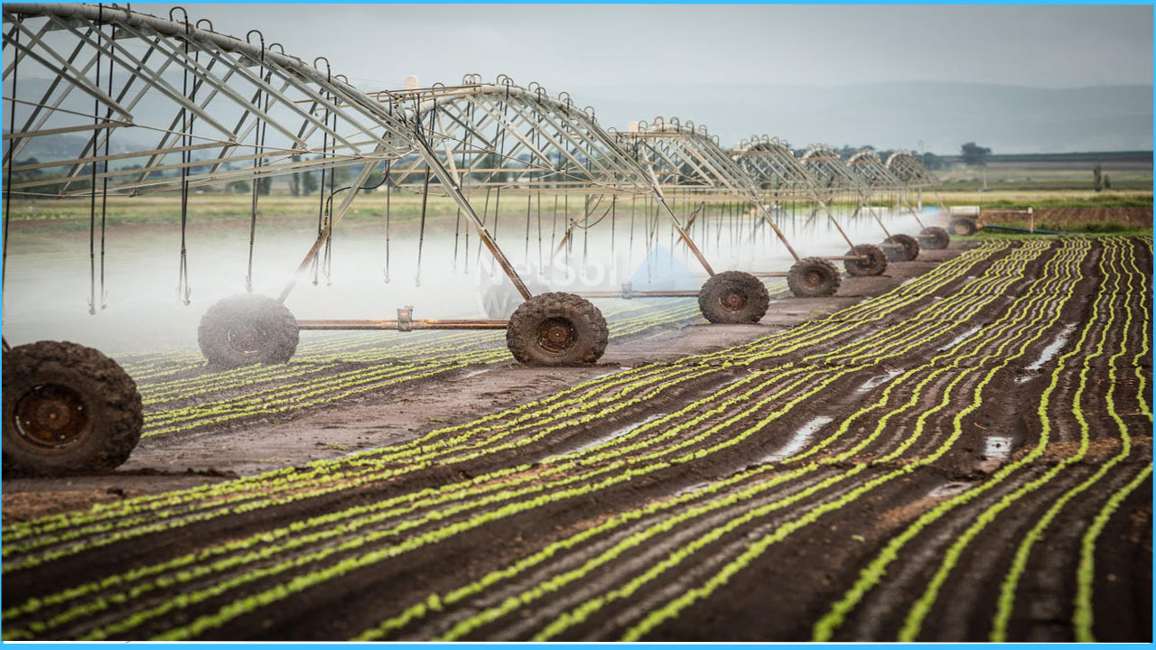 Importance of using the best quality RO water in irrigation