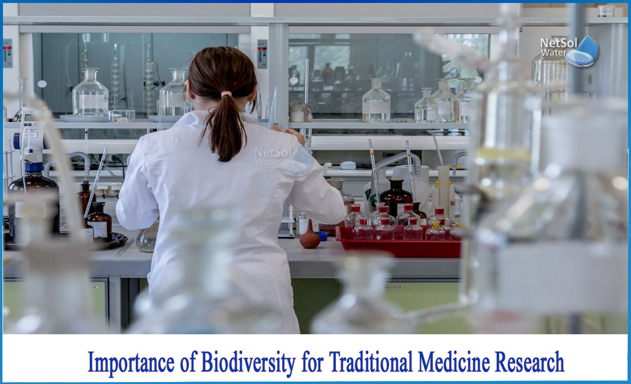 What is Importance of biodiversity for traditional medicine research