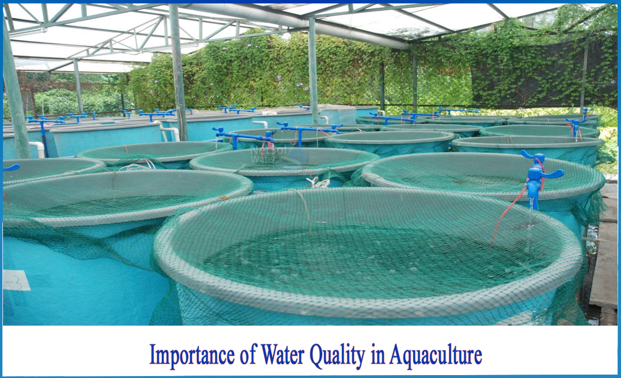importance of water quality in aquaculture, role of water quality in aquaculture, effect of water quality on fish growth