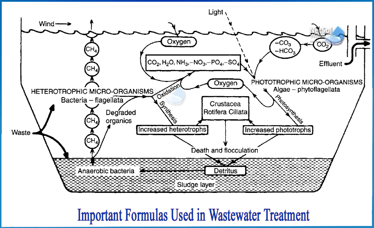 wastewater calculations, wastewater formula sheet, organic loading rate formula