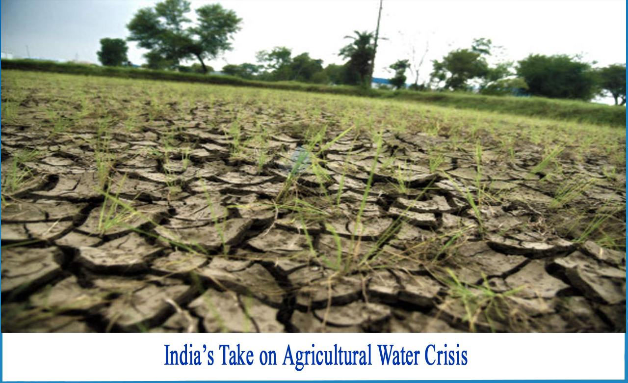 water management in agriculture in India, water crisis in India, water crisis in rural India