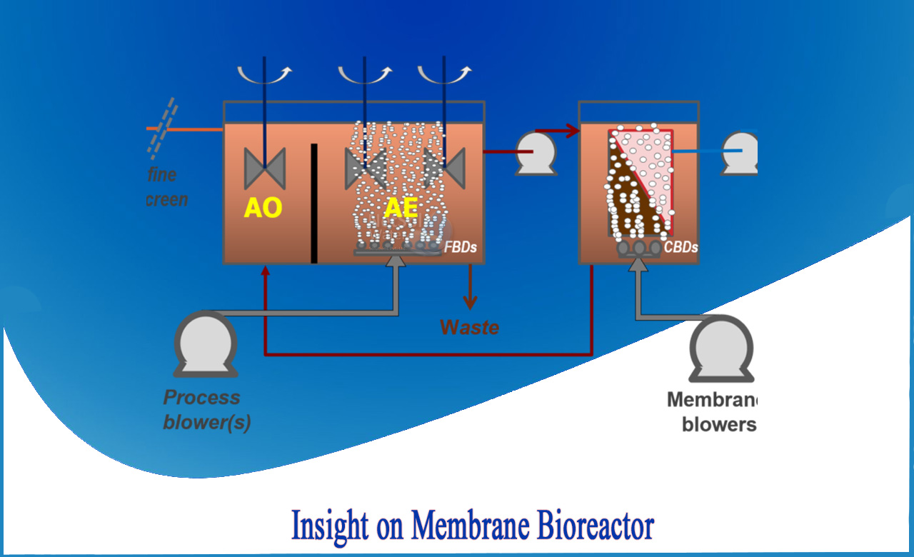 2. How does a membrane bioreactor work?