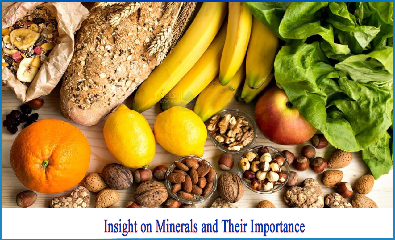 what are the essential minerals and their functions, functions of minerals in the body, minerals and their functions sources