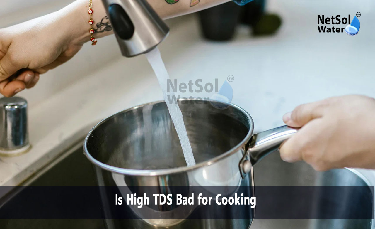 Can we use high TDS water for cooking, What happens if TDS is too high, Is high TDS water good for plants