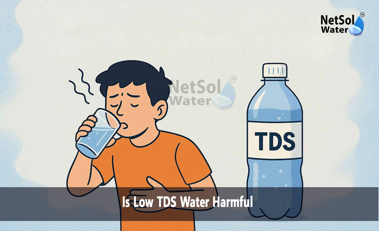 What happens if TDS is low, Is water with 0 TDS safe, Is 15 TDS water good for you