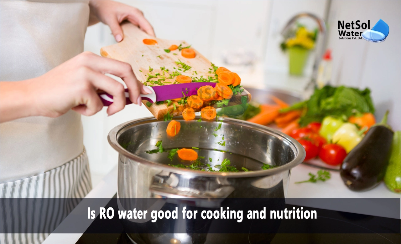 Ro water for cooking and nutrition benefits, How to use ro water for cooking and nutrition, Best ro water for cooking and nutrition