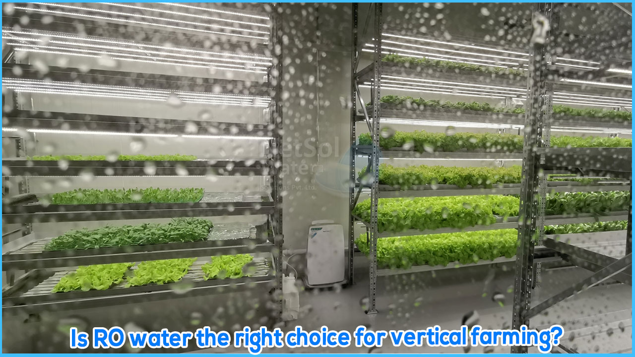Is RO water the right choice for vertical farming?