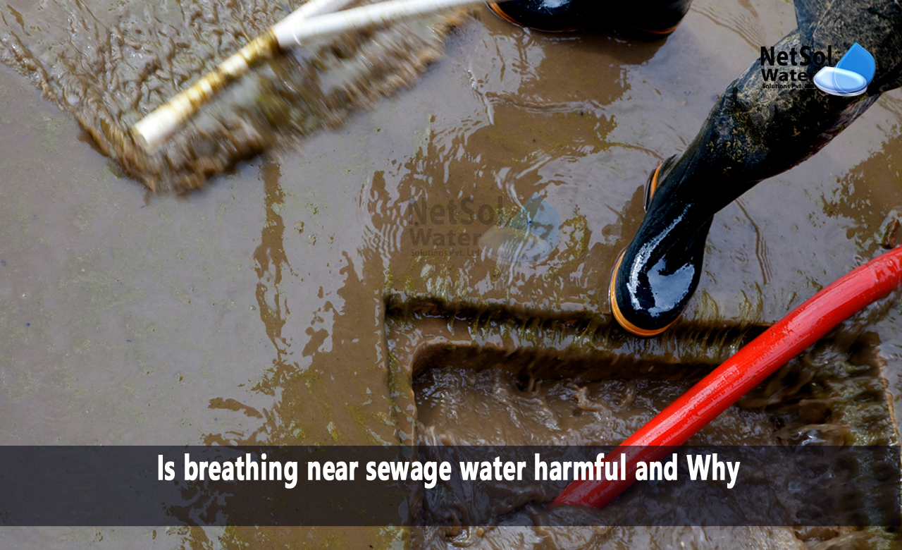 can breathing raw sewage harm you, what to do if exposed to raw sewage, can you get sick from breathing in sewage
