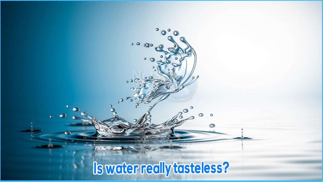Is water really tasteless