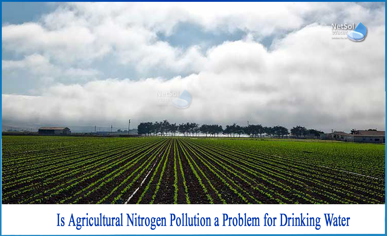 effects of water pollution on agriculture in india, how does agriculture affect water quality, what happens when too much nitrogen and phosphorus are in the water