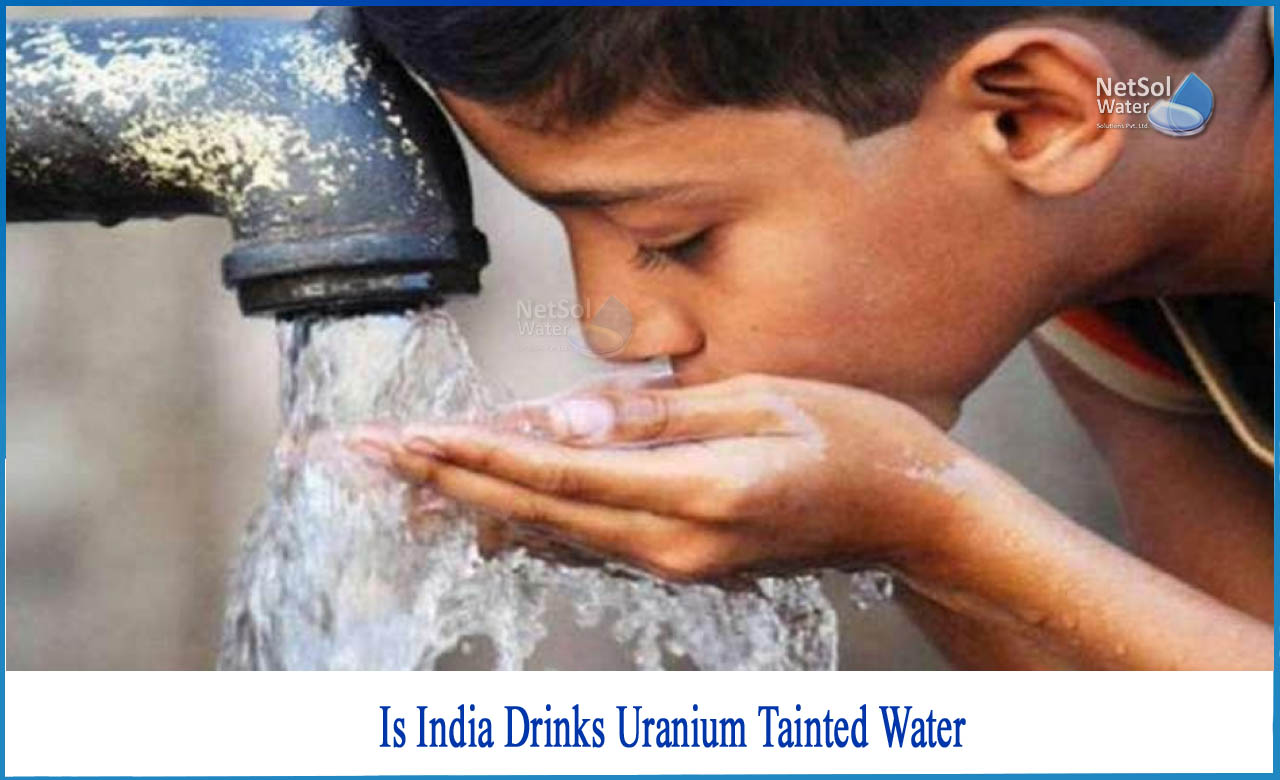 acceptable uranium levels in drinking water, uranium contamination in india, uranium in drinking water india