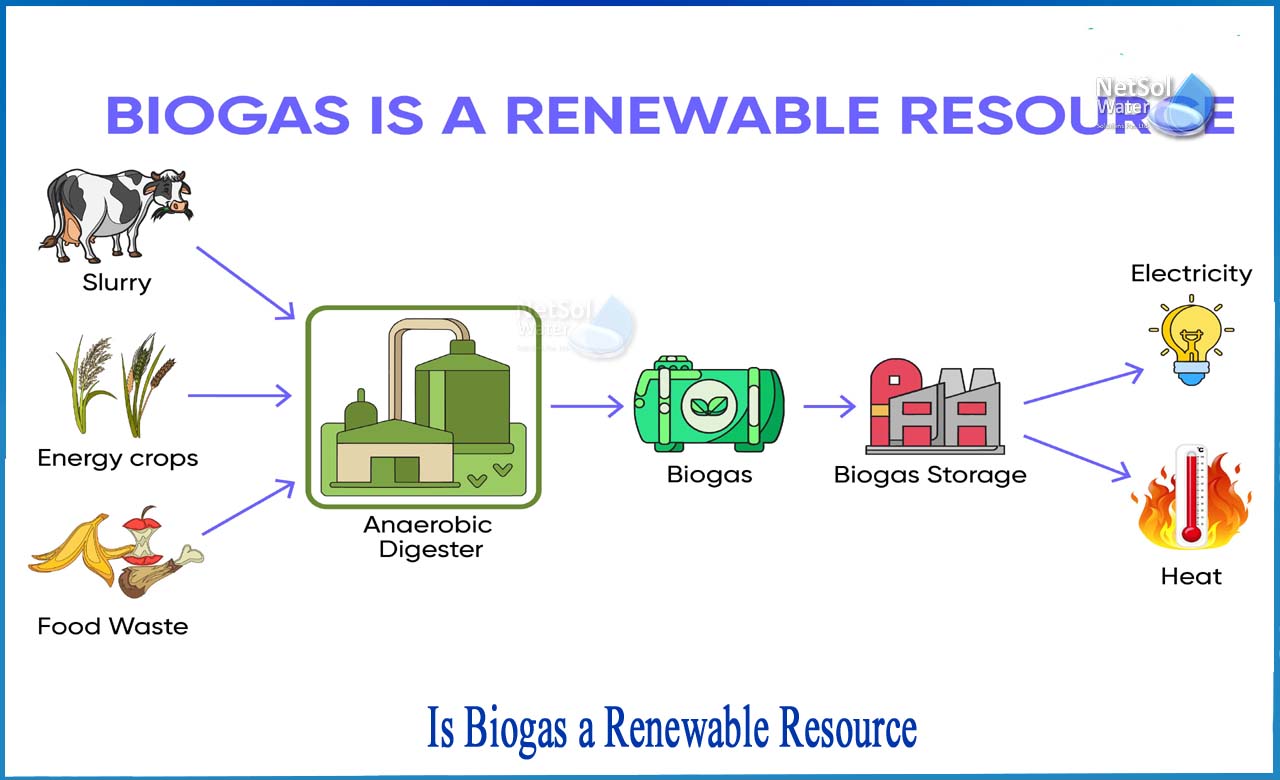 what is biogas, types of biogas, how is biogas produced, what is biogas used for
