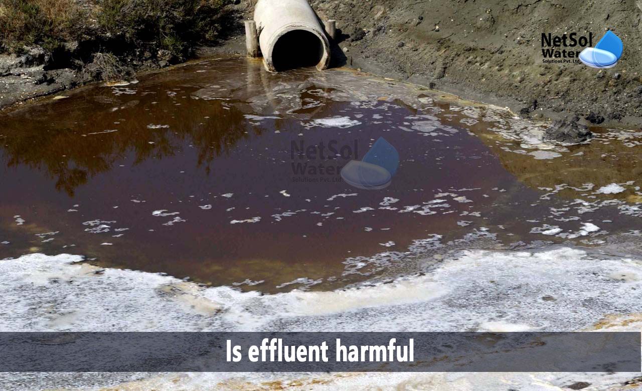 impact of industrial effluents on environment and humans, what are industrial effluents, effects of industrial effluents