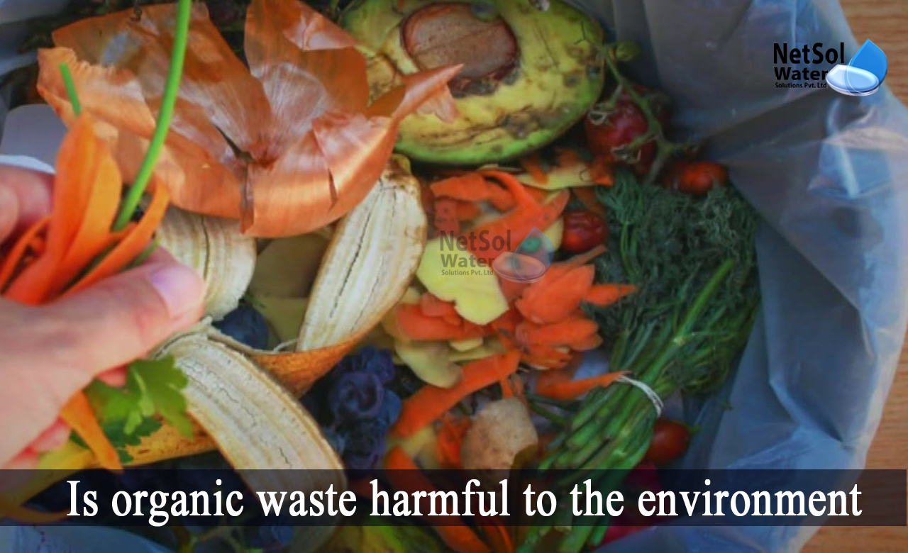 what is organic waste, organic waste management, Is organic waste harmful to the environment