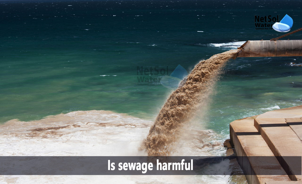 why it is harmful to discharge untreated sewage, what is sewage in which way this can be harmful to us