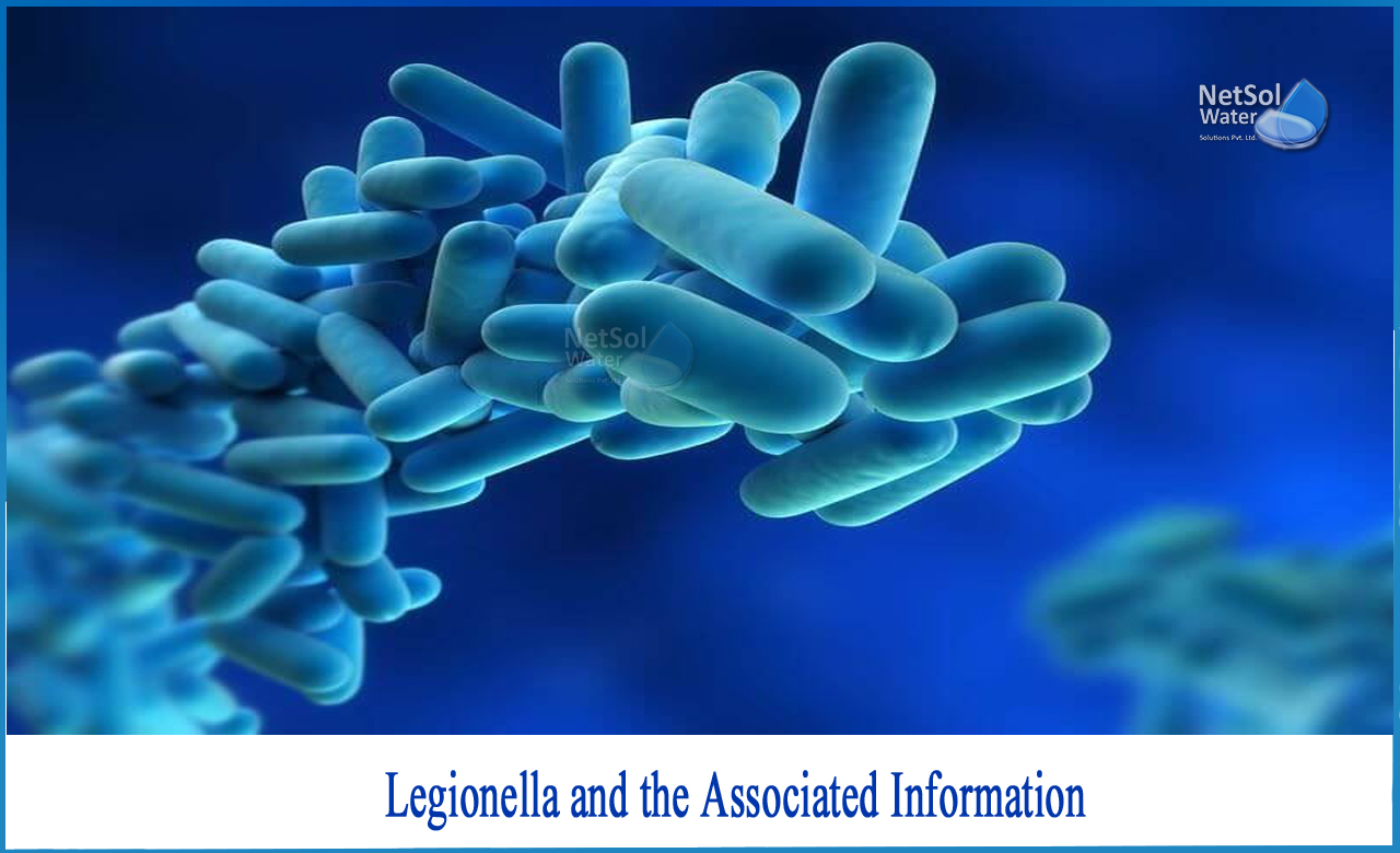 what is legionella, what causes legionnaires disease, how is legionnaires disease spread