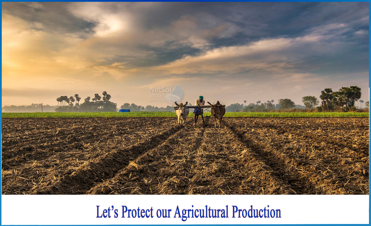 adoption of new technology in agriculture, agriculture nature-based solutions, solutions to agriculture problems