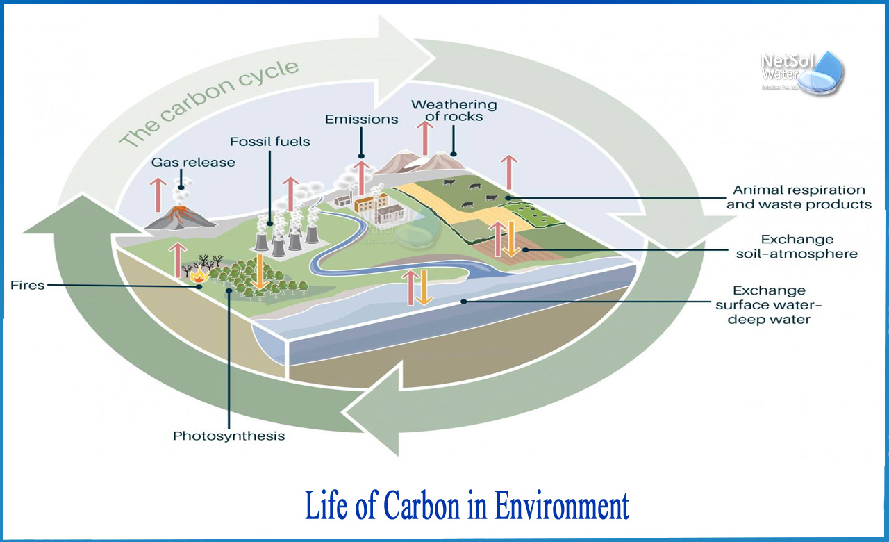 importance of carbon in environment, greenhouse gases and climate change, effects of carbon dioxide on the environment, why is carbon dioxide important