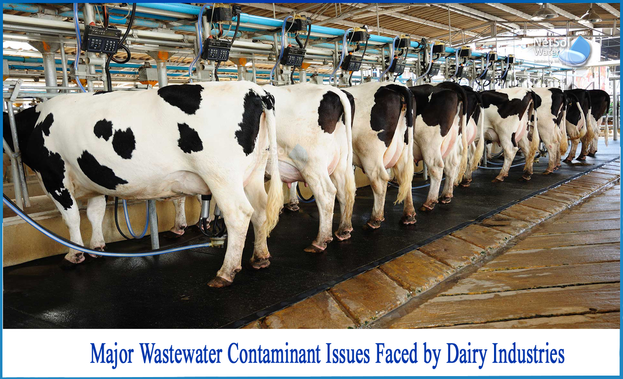 dairy industry wastewater treatment, dairy wastewater characteristics, sources of wastewater in dairy industry