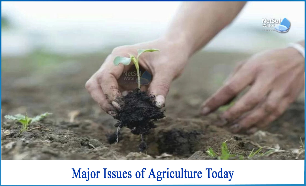current issues in agriculture, what are the problems and challenges of agriculture sector, agricultural problems and solutions