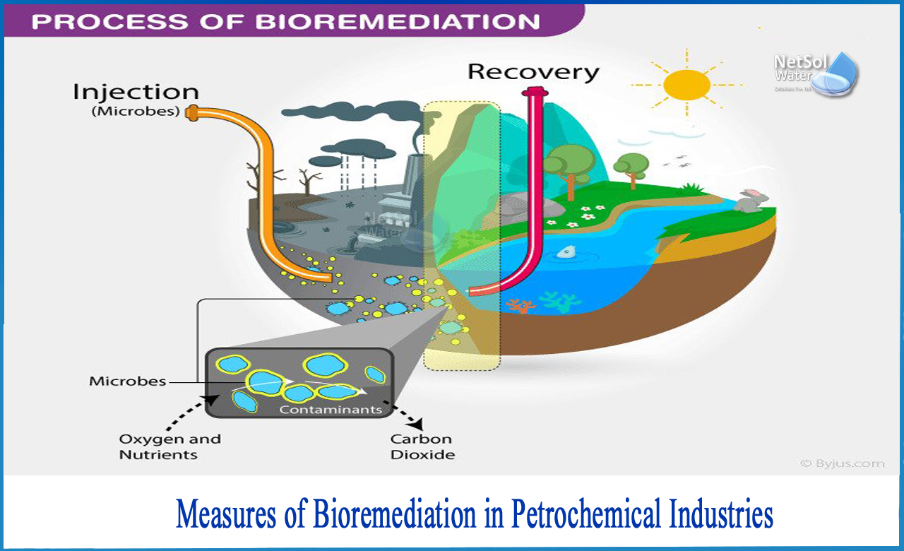 bioremediation of oil spills using microorganisms, bioremediation of petroleum hydrocarbons, how do microbes degrade oil