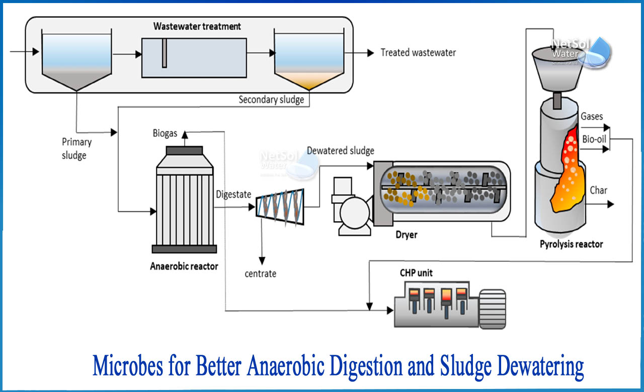 What microbes are used in anaerobic digestion and sludge dewatering
