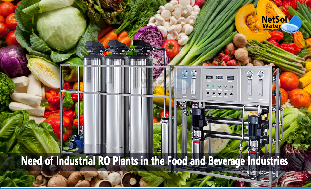 What is the importance of a water purification system in food and beverage industries, Why are industrial RO plants needed in the food and beverage industry