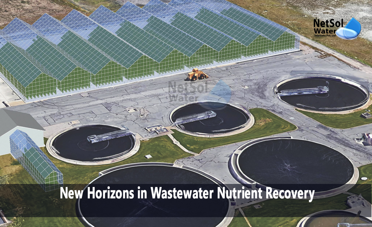 New horizons in wastewater nutrient recovery, nutrient recovery from biowaste